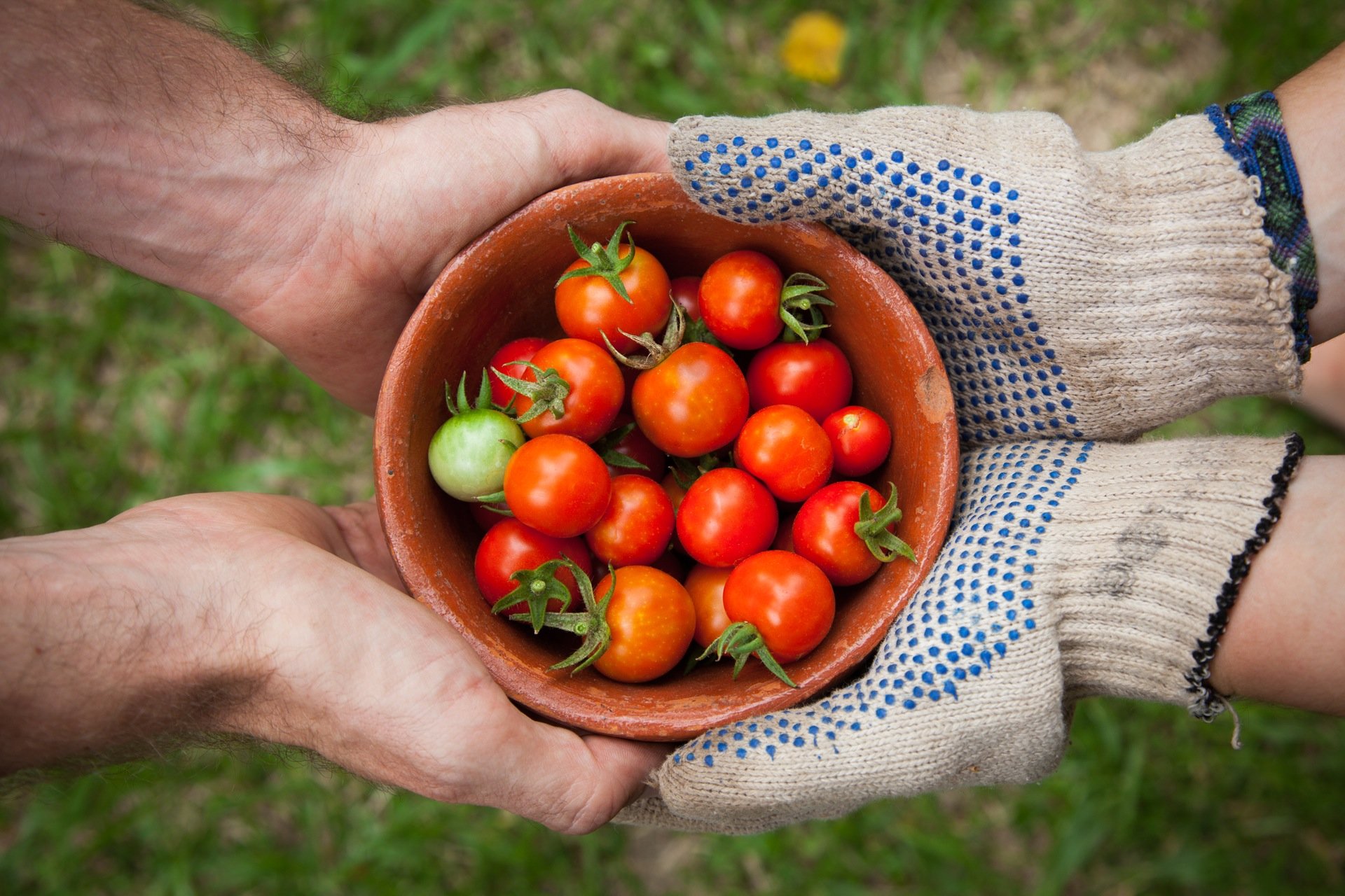 making organic food affordable