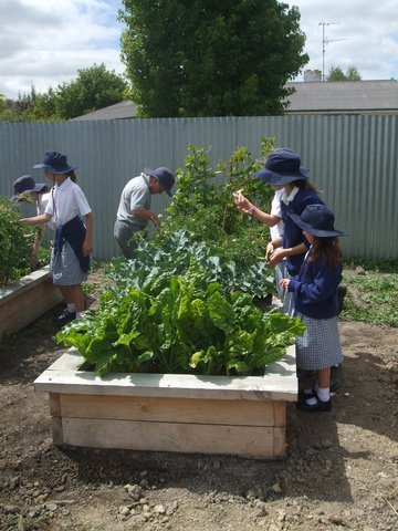 project gro community garden rangiora