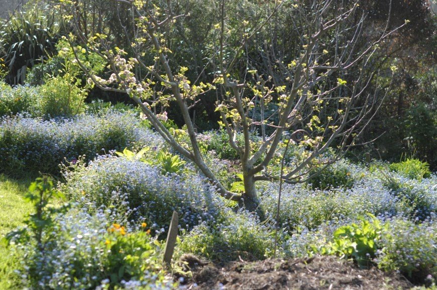 Healthy soil policy