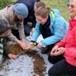 Counting earthworms at Tapu Te Ranga