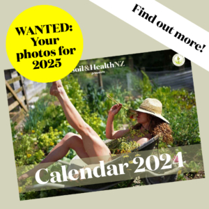 calendars for sale